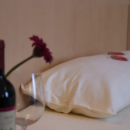 Hotel Petersburg Superior 3*